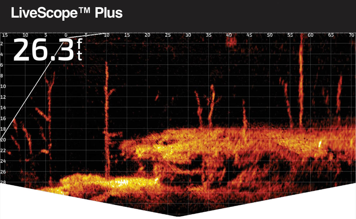 Garmin Panoptix LiveScope LSV32 Probe System + Black Box GLS10