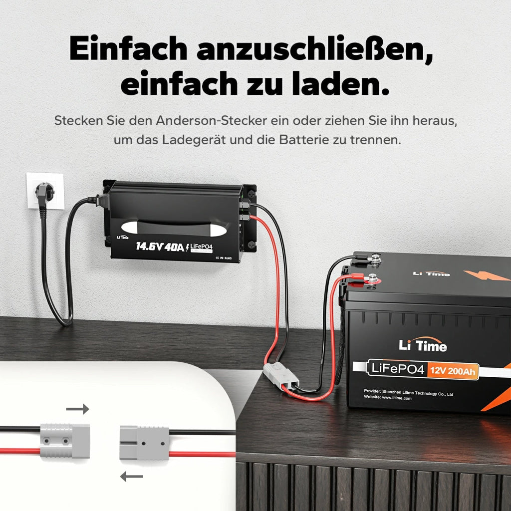 Incarcator Litime 12V (14.6V) 40A