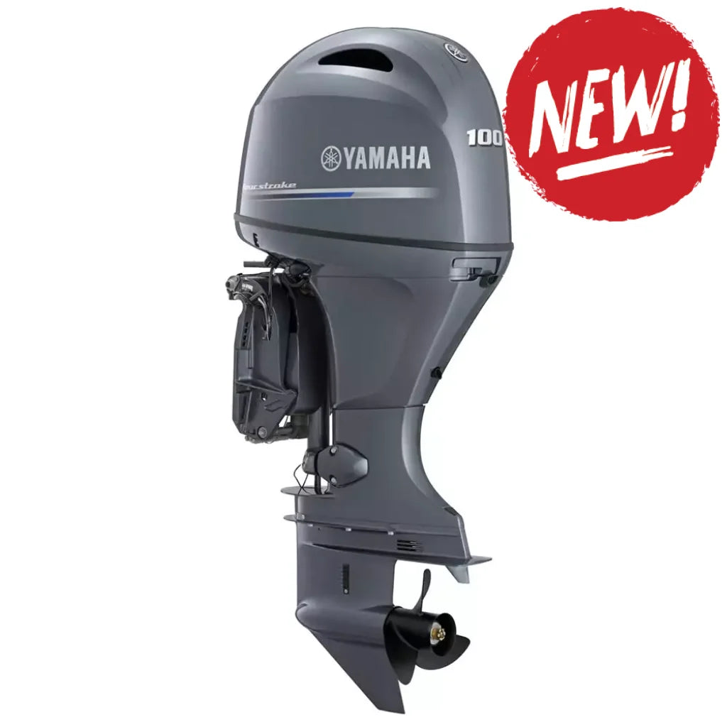 Motor Yamaha F100 LB