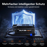 Incarcator Litime 29.2V 20A Waterproof