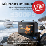 Baterie LiFePo4 Litime 12v 165Ah Dual Purpose