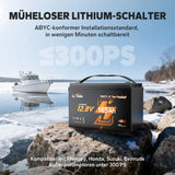 Baterie LiFePo4 Litime 12v 165Ah Dual Purpose