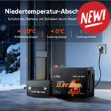 Baterie LiFePo4 Litime 12V 320Ah W190 bluetooth