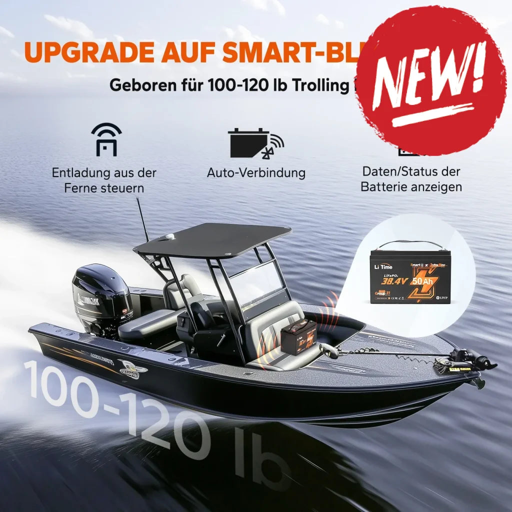 Baterie LiFePo4 LiTime 36V 50Ah pentru motoare trolling