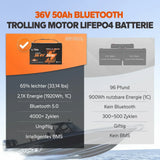 Baterie LiFePo4 LiTime 36V 50Ah pentru motoare trolling