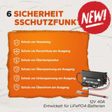 Incarcator Litime 12V (14.6V) 40A