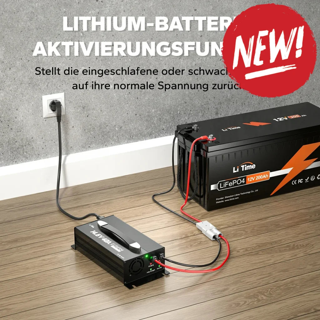 Incarcator Litime 12V (14.6V) 40A