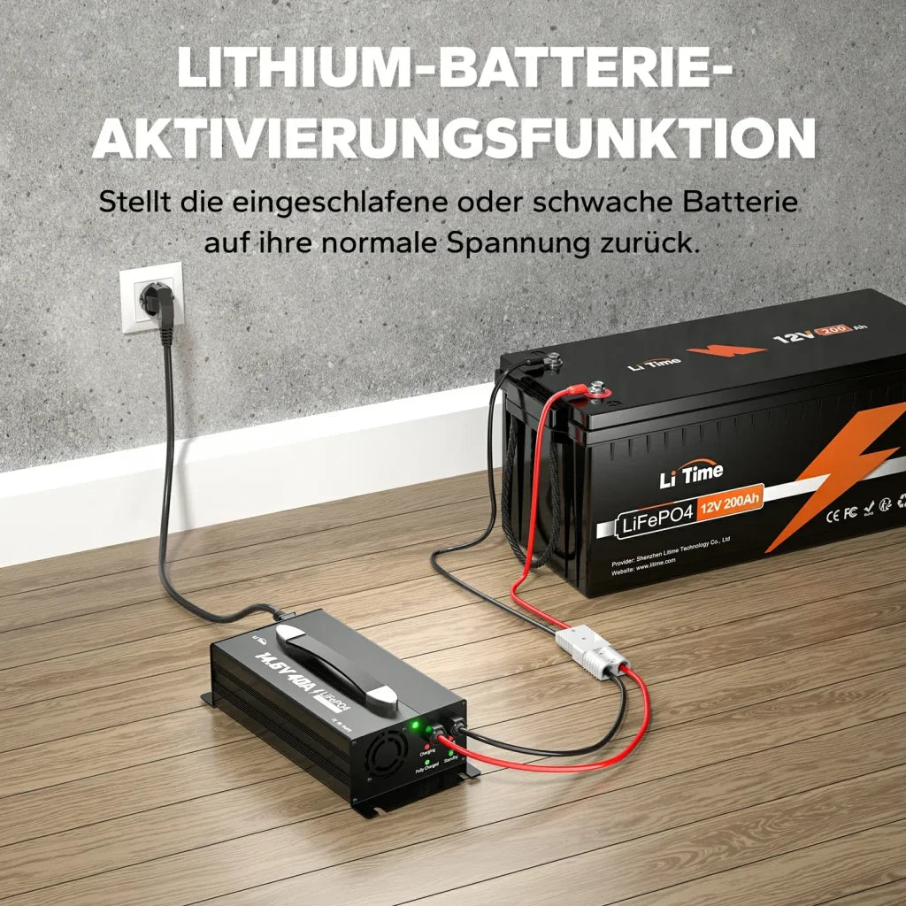 Incarcator Litime 12V (14.6V) 40A