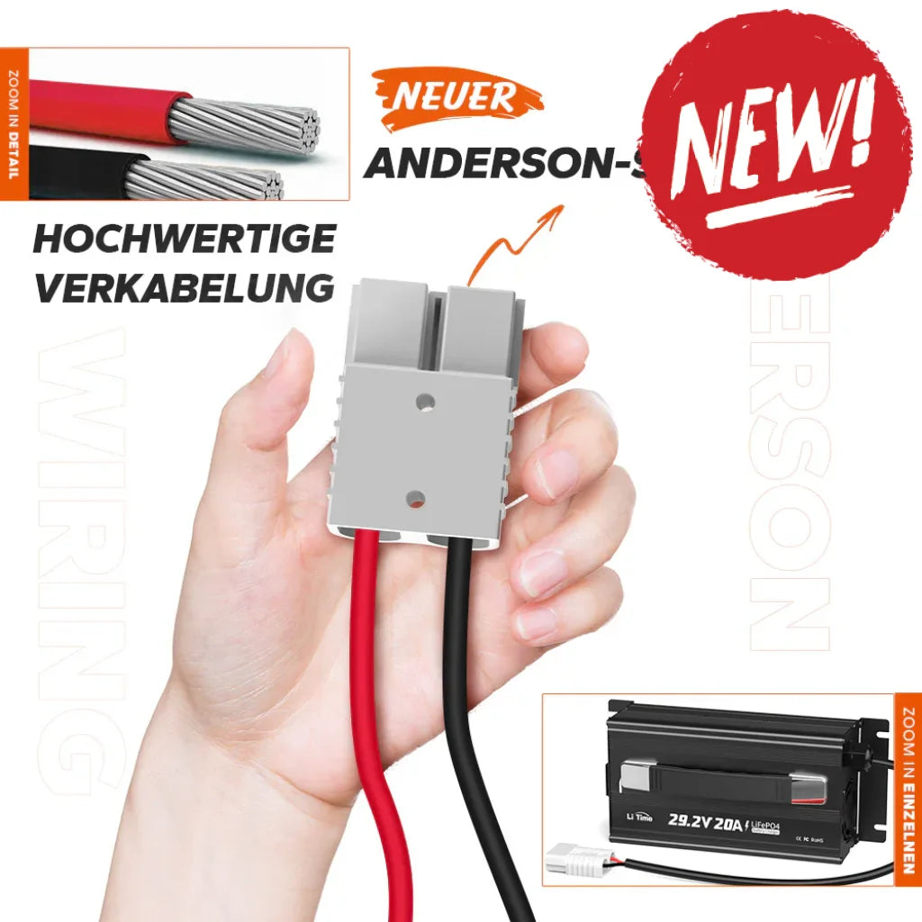 Incarcator Litime 29.2V 20A