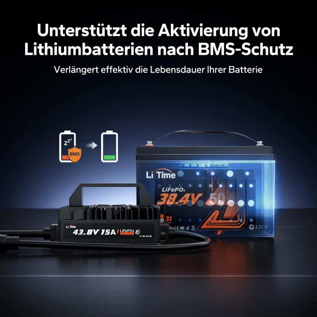 Incarcator Litime 36V 15Ah Waterproof IP66