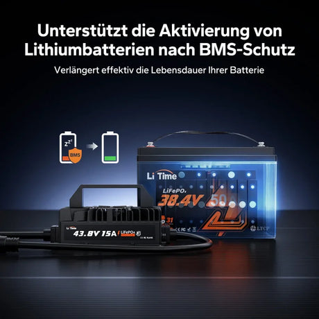 Incarcator Litime 36V 15Ah Waterproof IP66