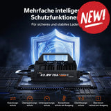 Incarcator Litime 36V 15Ah Waterproof IP66