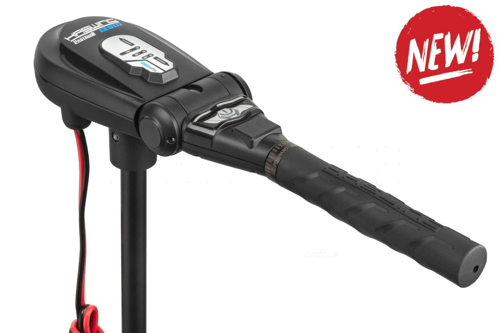 Motor Electric Haswing Protruar 1.0 65 Lb Brushless 1Cal